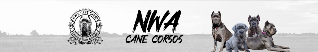 NWA Cane Corsos