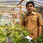 AULIA RAHMAN HIDROFARM