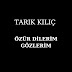 Tarık Kılıç - Topic