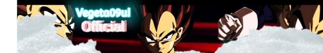 Vegeta09ui