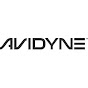 Avidyne