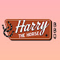 Harry The Horse BBQ