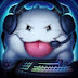 포로 PORO