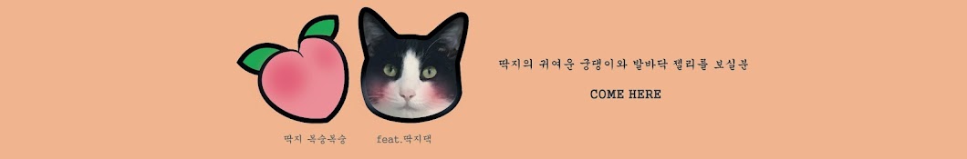 딱지댁