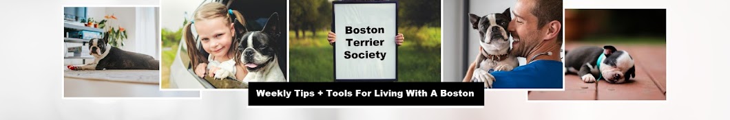 Boston Terrier Society Banner