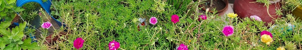 GARDENING FLORA