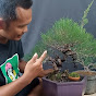 kedai bonsai jj