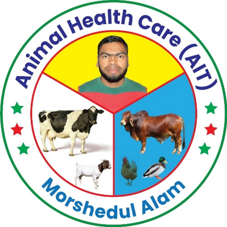 What Is Animal Health Care Direct Debit