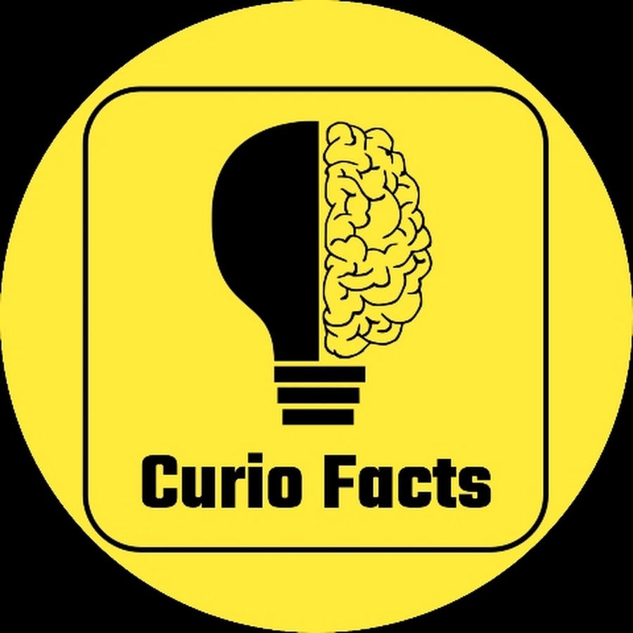 Curio Facts - YouTube