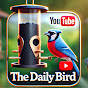 The Daily Bird