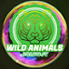 WILD ANIMALS salvajes