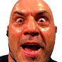 Rogan Shorts youtube avatar