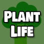 City Steading Plant Life