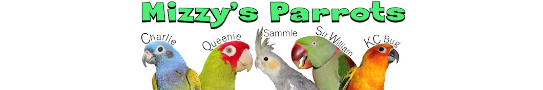 Mizzy's Parrots Banner