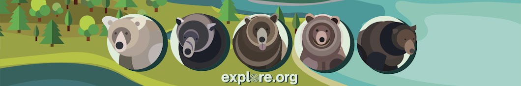 Explore Live Nature Cams Banner