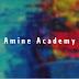 Amine Academy