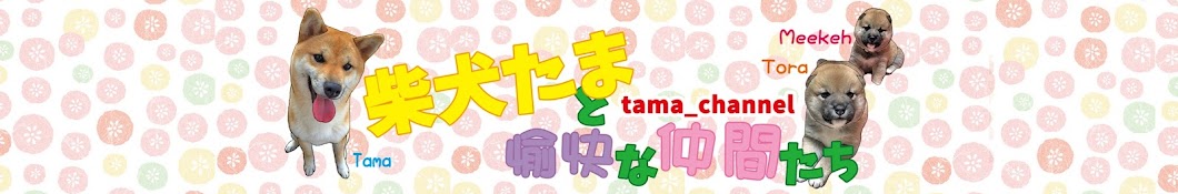 tama_channel