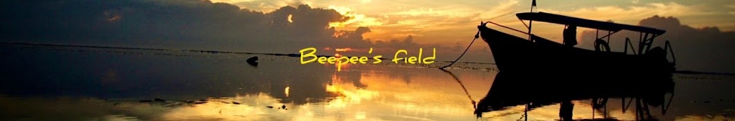 Beepee’s field