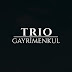 Trio Gayrimenkul