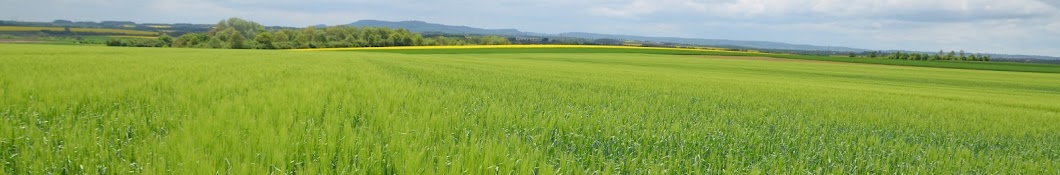 Groupe CAL - Coopérative Agricole Lorraine