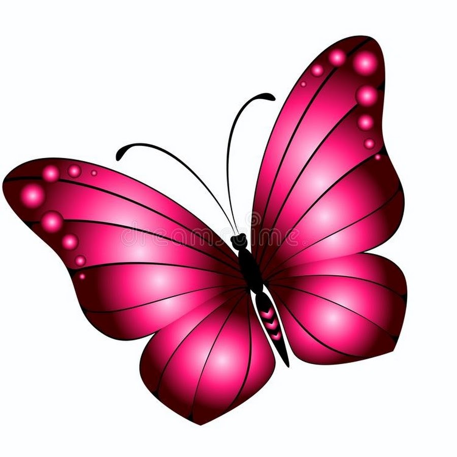 Бабочки розовые яркие
