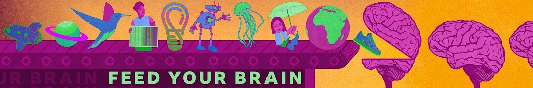 Understanding the human brain Playlist - BBC Ideas