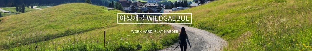 야생개불 WILDGAEBUL